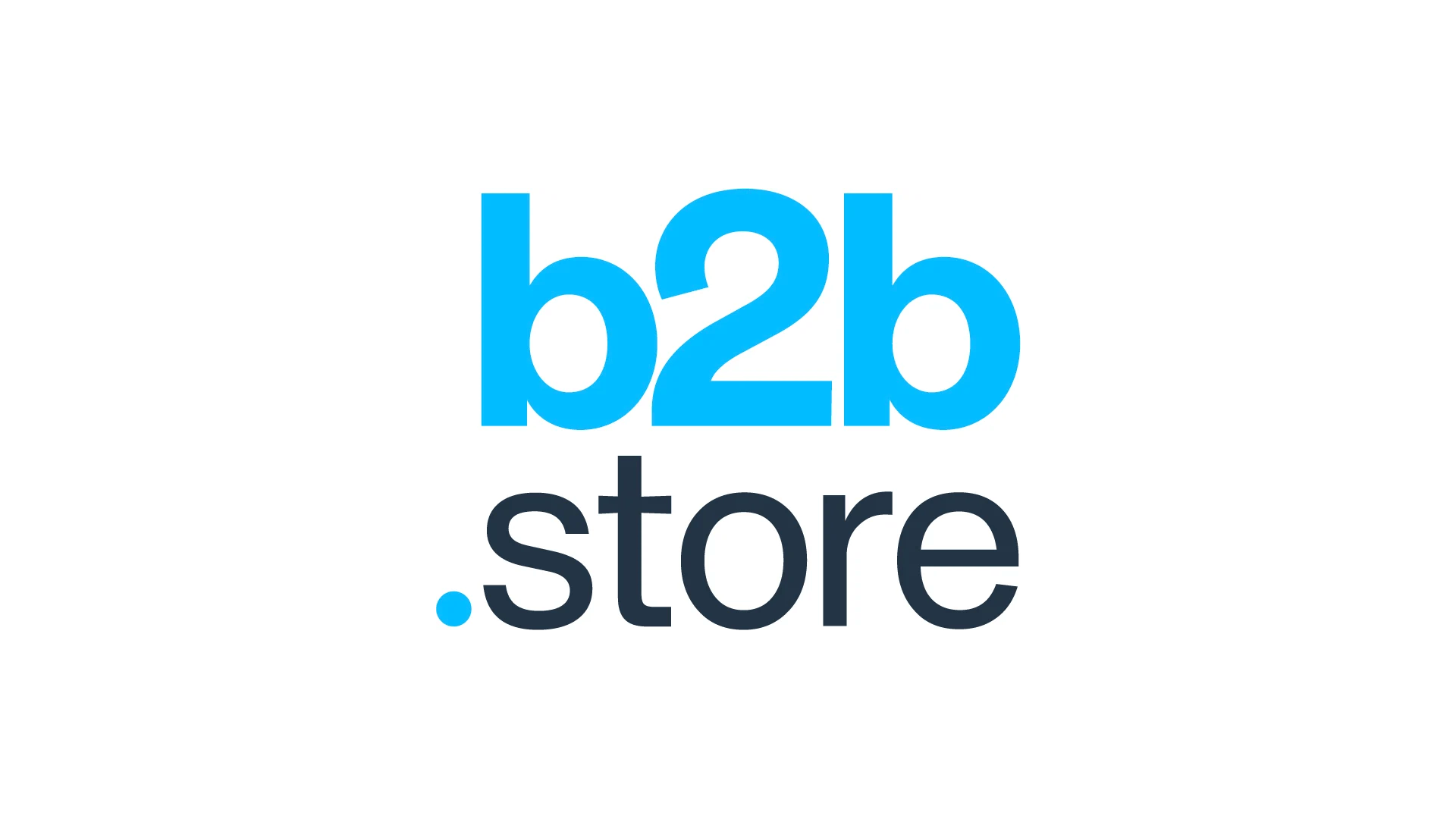 b2b.store Logo